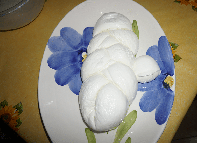 mozzarella di bufala