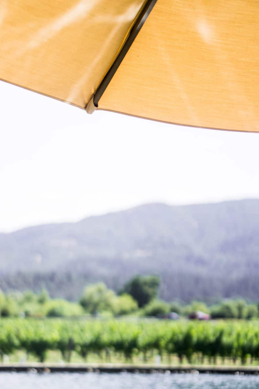 Napa Valley travel guide and itinerary