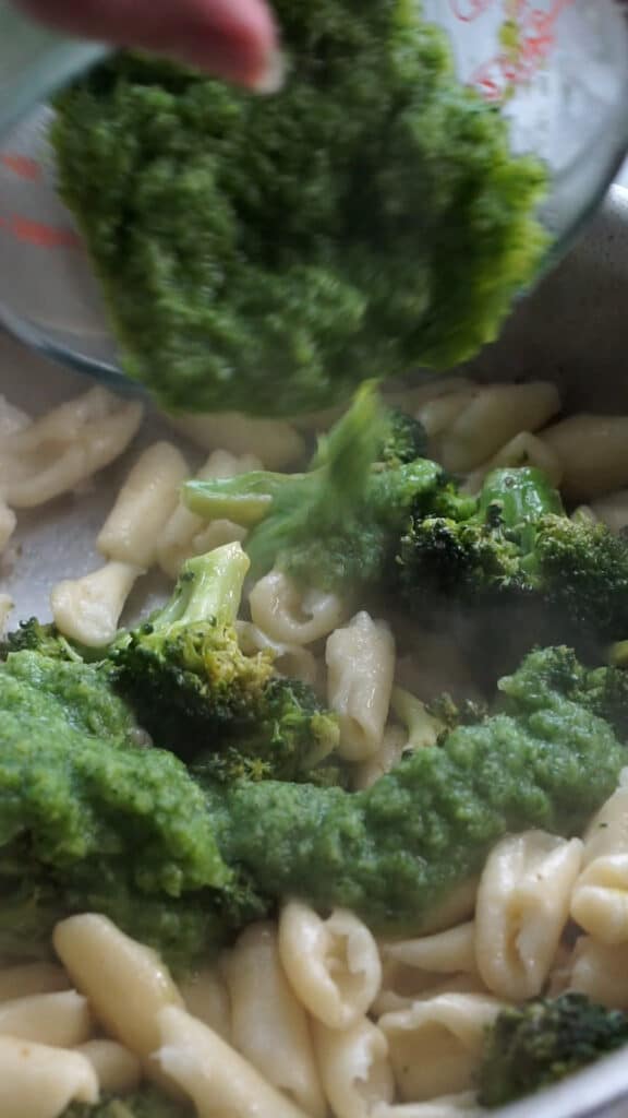 Cavatelli and broccoli process - broccoli sauce poured on to pasta