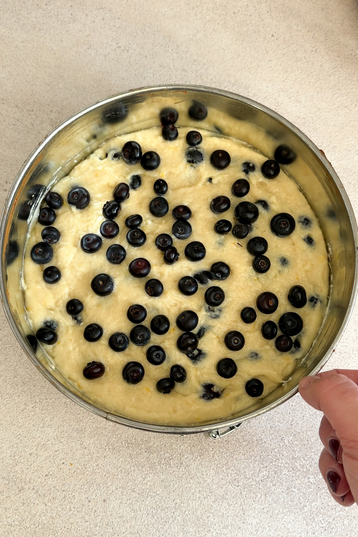 cake batter in springform pan topped with blueberries